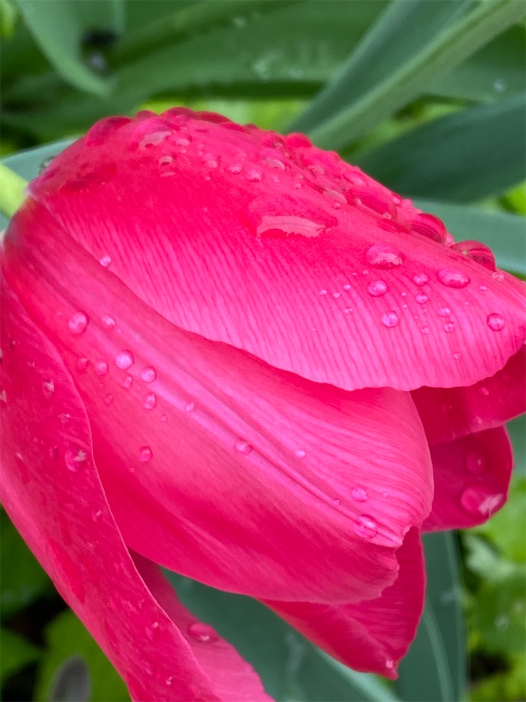 f:id:team0x:20210416090254j:image f:id:team0x:20210416090254j:image