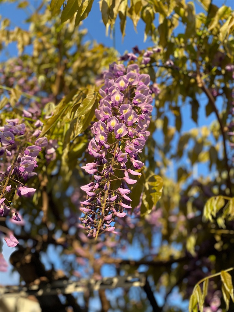 f:id:team0x:20210418061806j:image f:id:team0x:20210418061806j:image