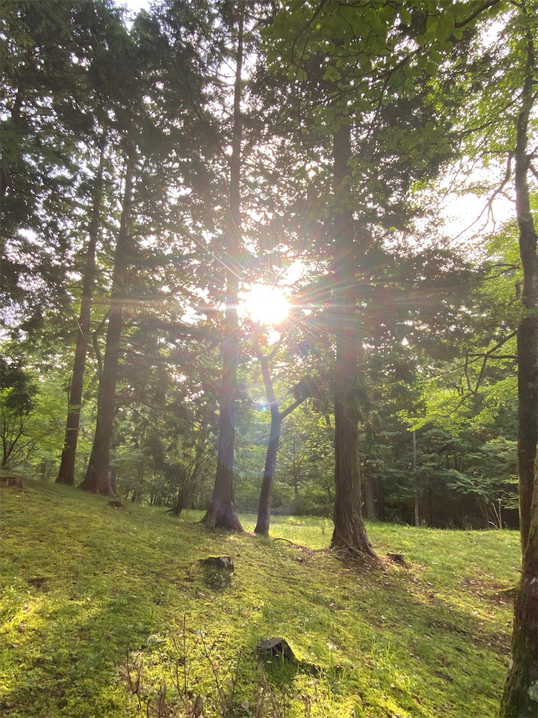 f:id:team0x:20210730143222j:image f:id:team0x:20210730143222j:image