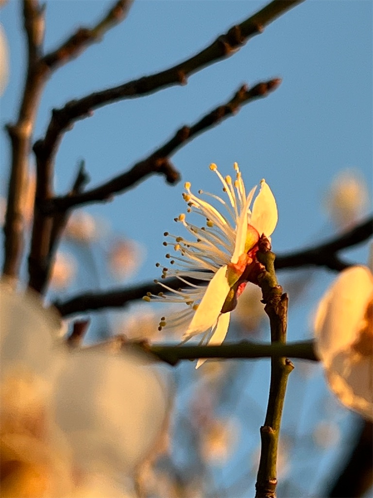 f:id:team0x:20220104095513j:image f:id:team0x:20220104095513j:image