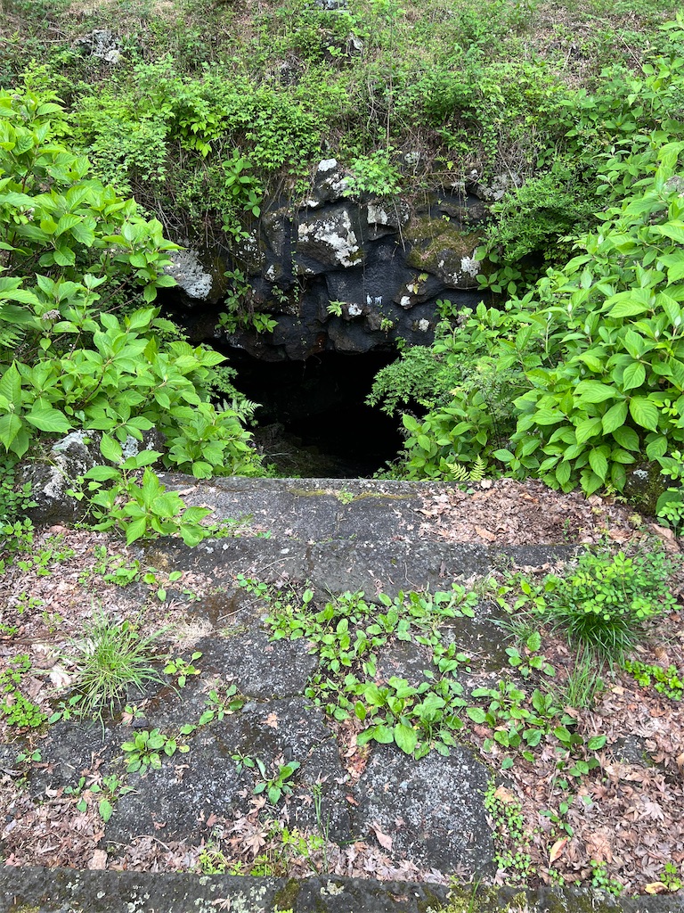 f:id:team0x:20220509004719j:image f:id:team0x:20220509004719j:image