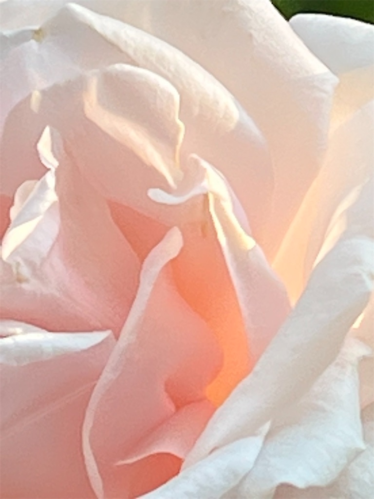 f:id:team0x:20220524072559j:image f:id:team0x:20220524072559j:image