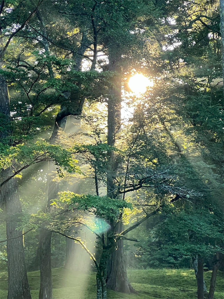 f:id:team0x:20220729205345j:image f:id:team0x:20220729205345j:image