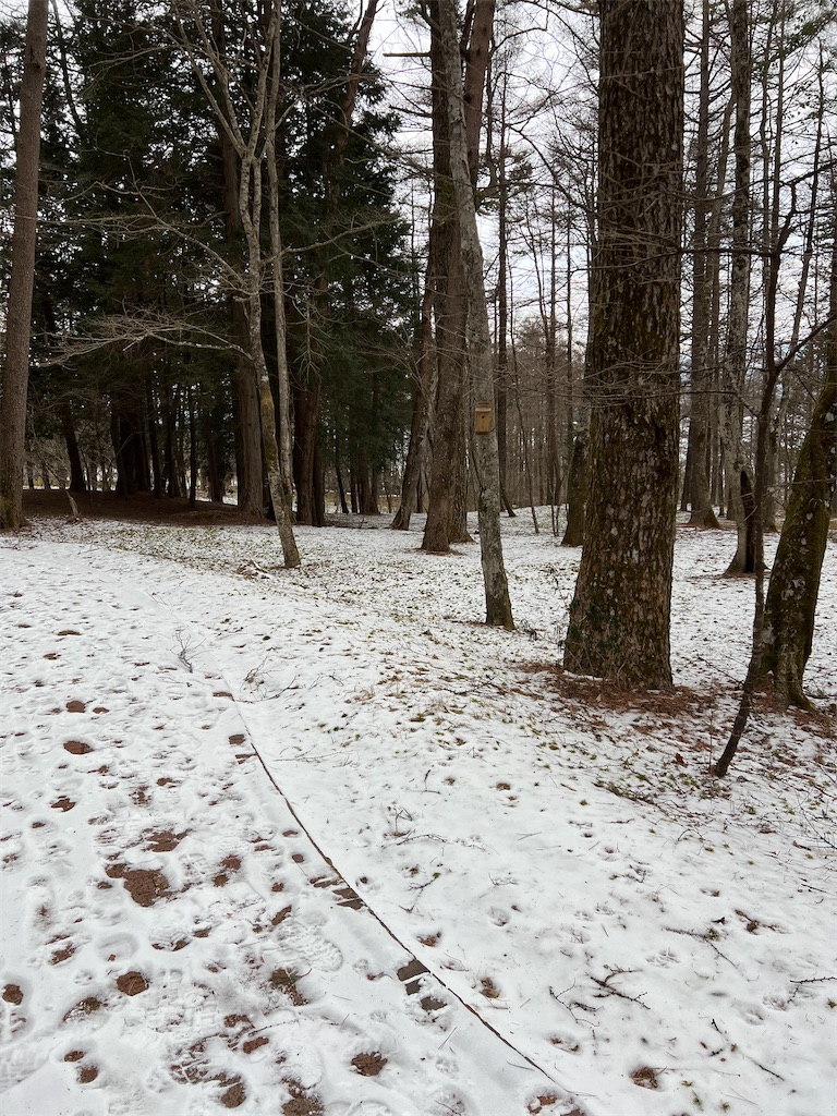 f:id:team0x:20230204055802j:image