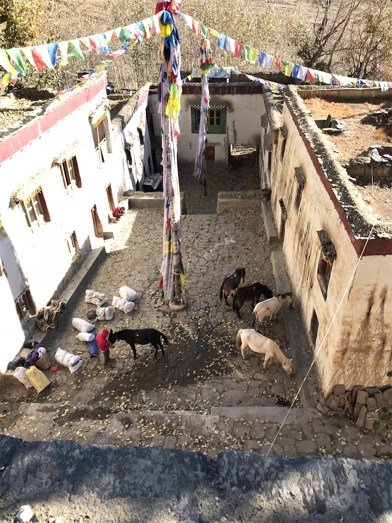 f:id:team0x:20230502104127j:image