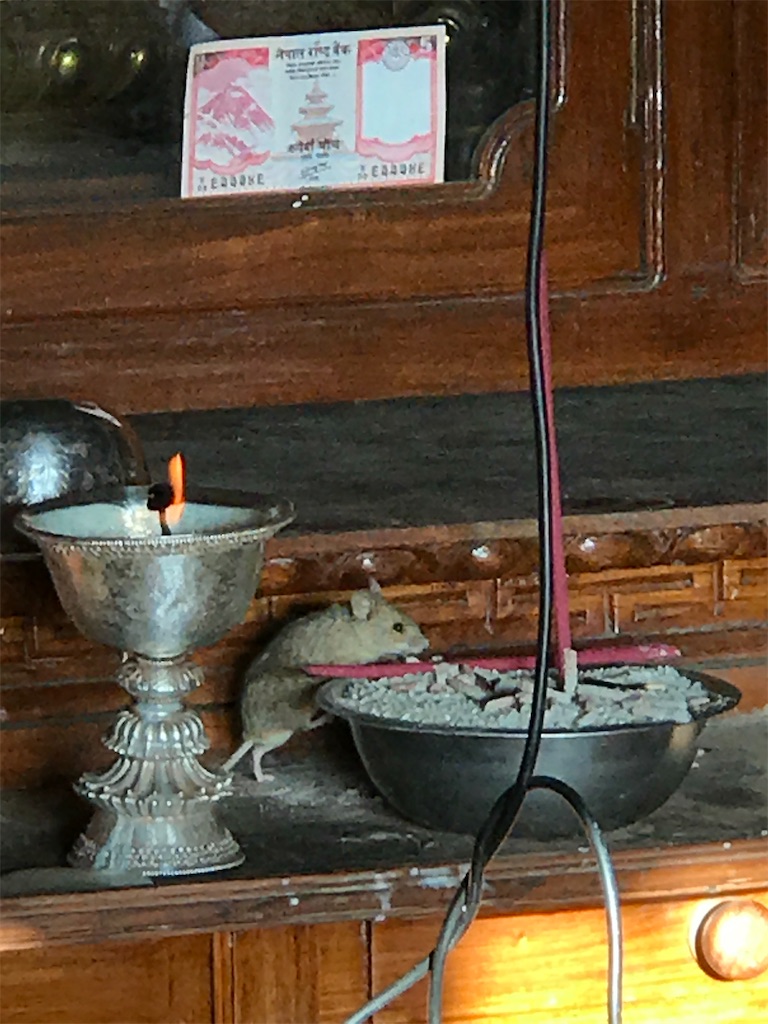 f:id:team0x:20230502104155j:image