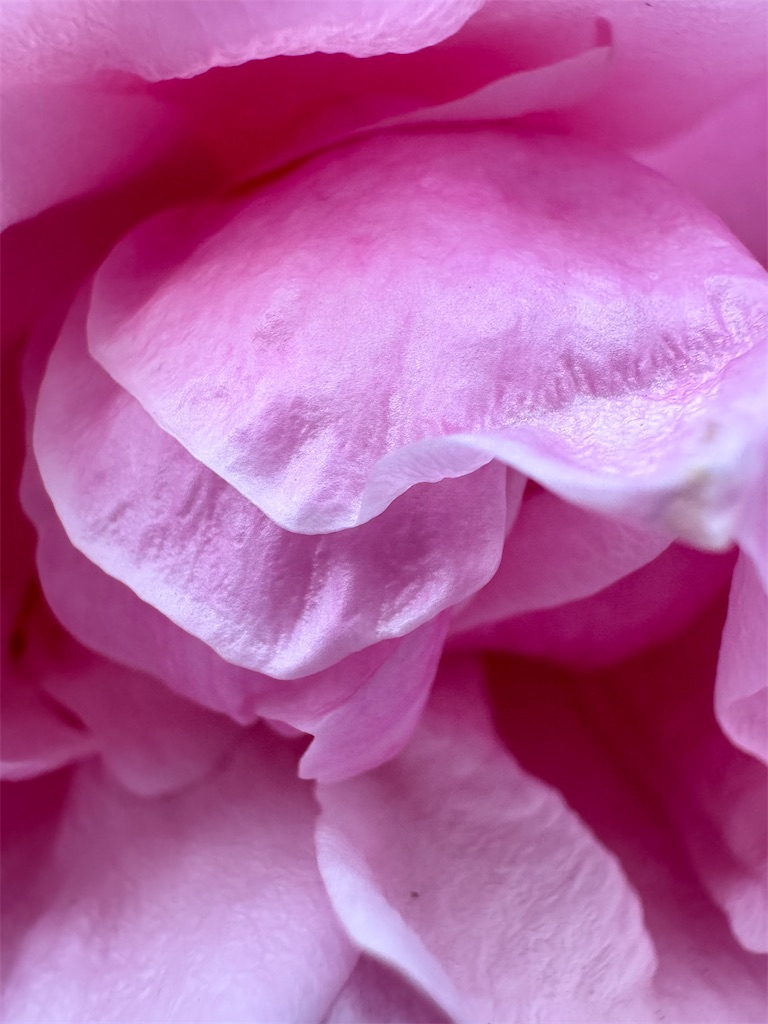 f:id:team0x:20240217205515j:image f:id:team0x:20240217205515j:image