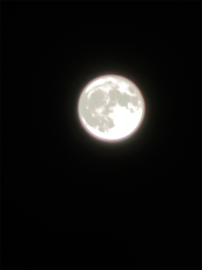 f:id:team0x:20260607021734j:image