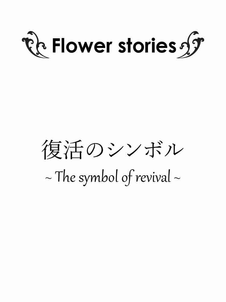 f:id:team3kazu:20190305232733j:plain f:id:team3kazu:20190305232733j:plain