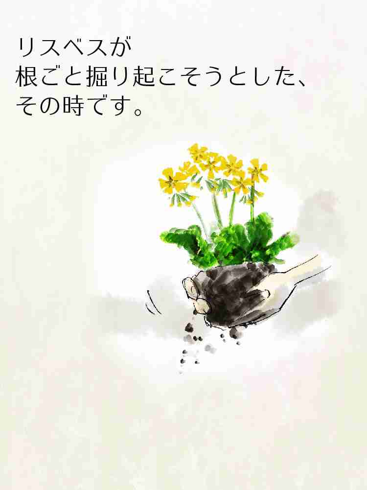 f:id:team3kazu:20190410013559j:plain f:id:team3kazu:20190410013559j:plain