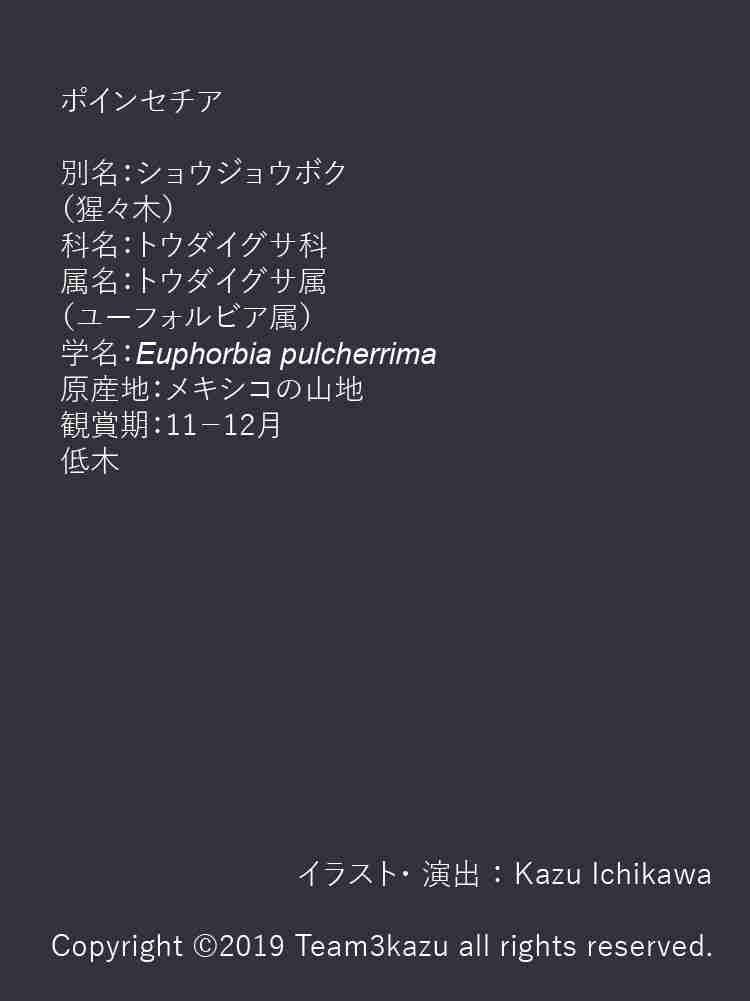 f:id:team3kazu:20190418234311j:plain f:id:team3kazu:20190418234311j:plain