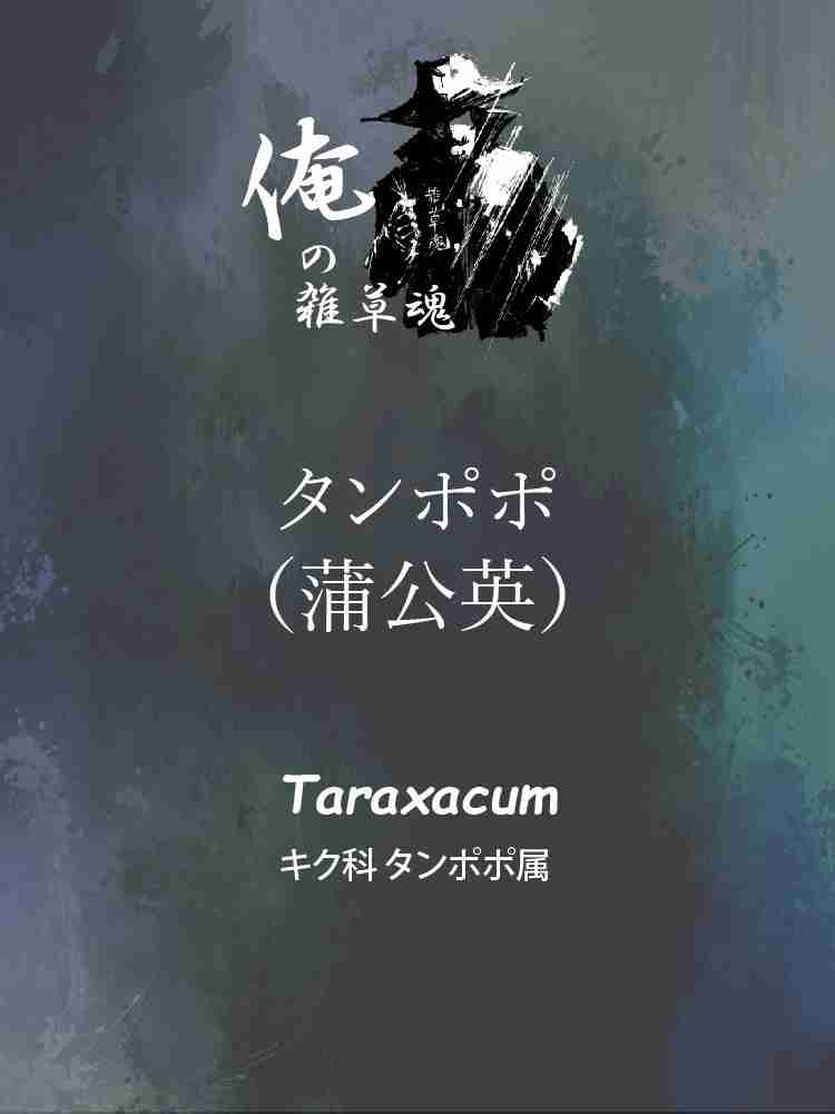 f:id:team3kazu:20190424214628j:plain f:id:team3kazu:20190424214628j:plain