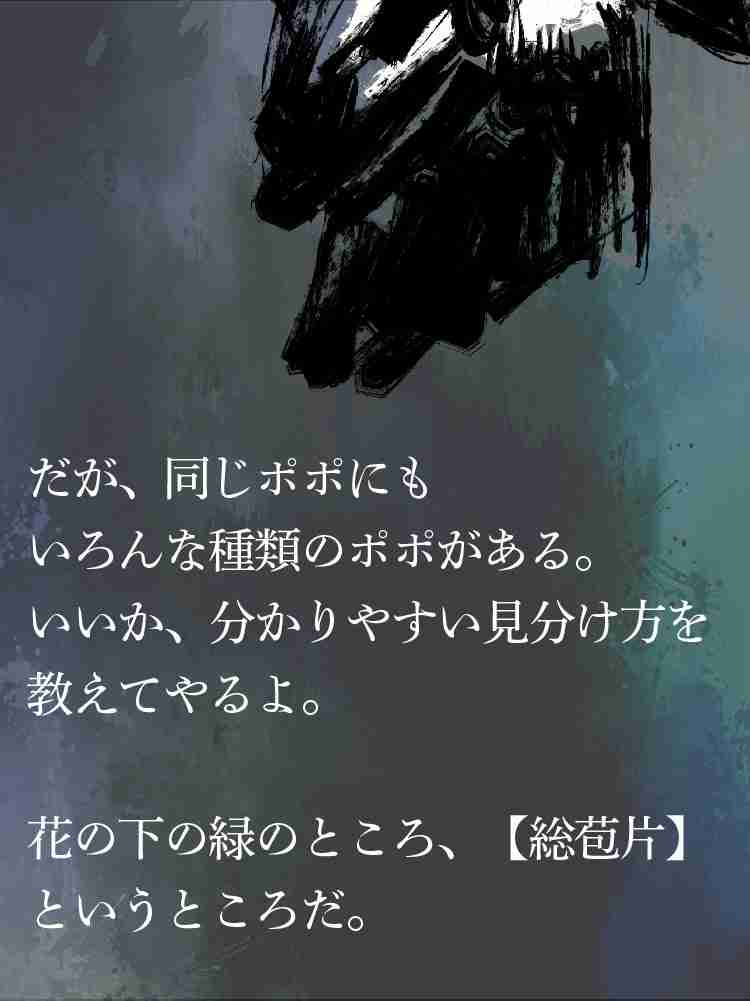 f:id:team3kazu:20190424214640j:plain f:id:team3kazu:20190424214640j:plain