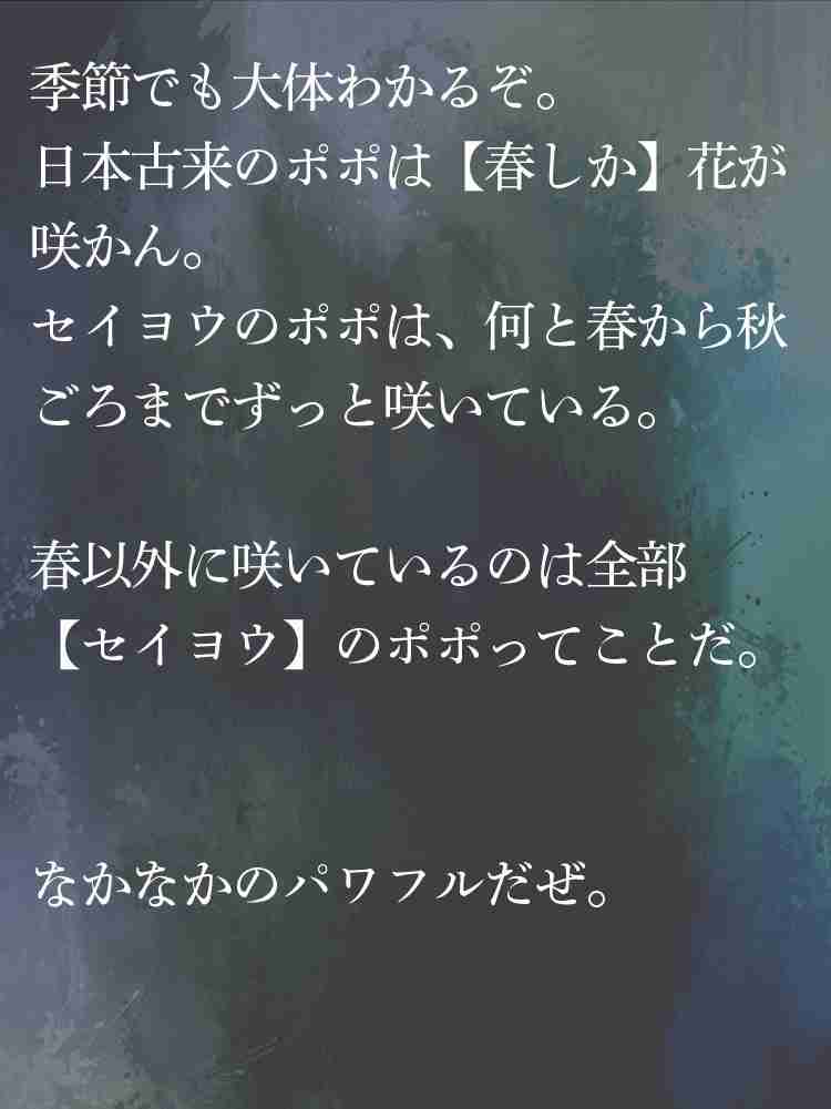 f:id:team3kazu:20190424214652j:plain f:id:team3kazu:20190424214652j:plain