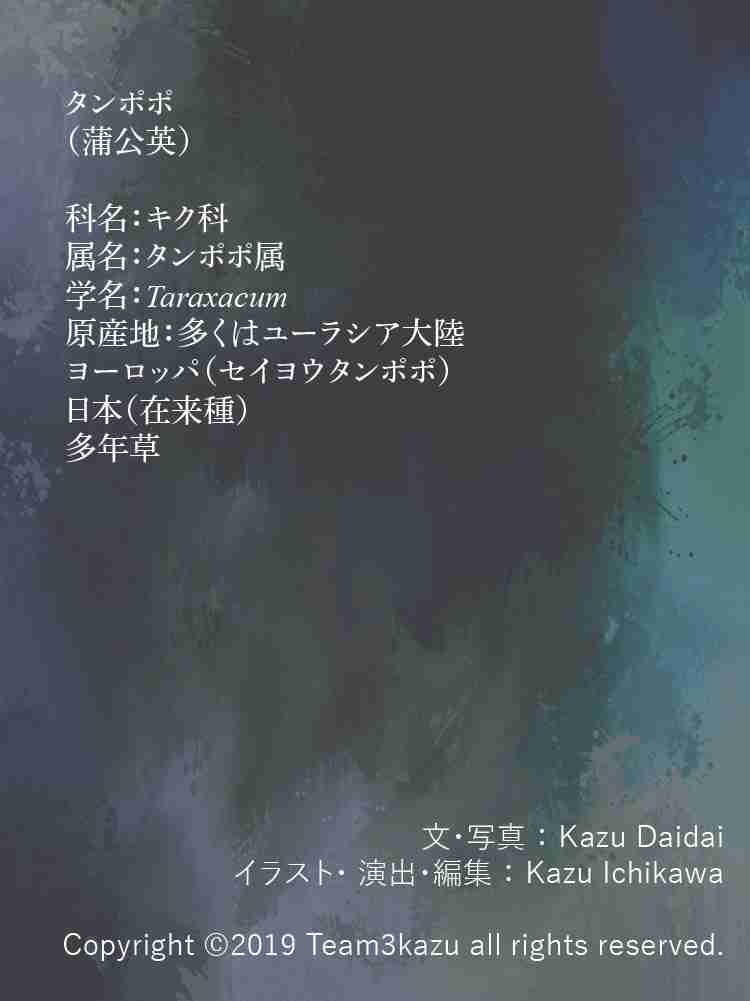 f:id:team3kazu:20190424214719j:plain f:id:team3kazu:20190424214719j:plain