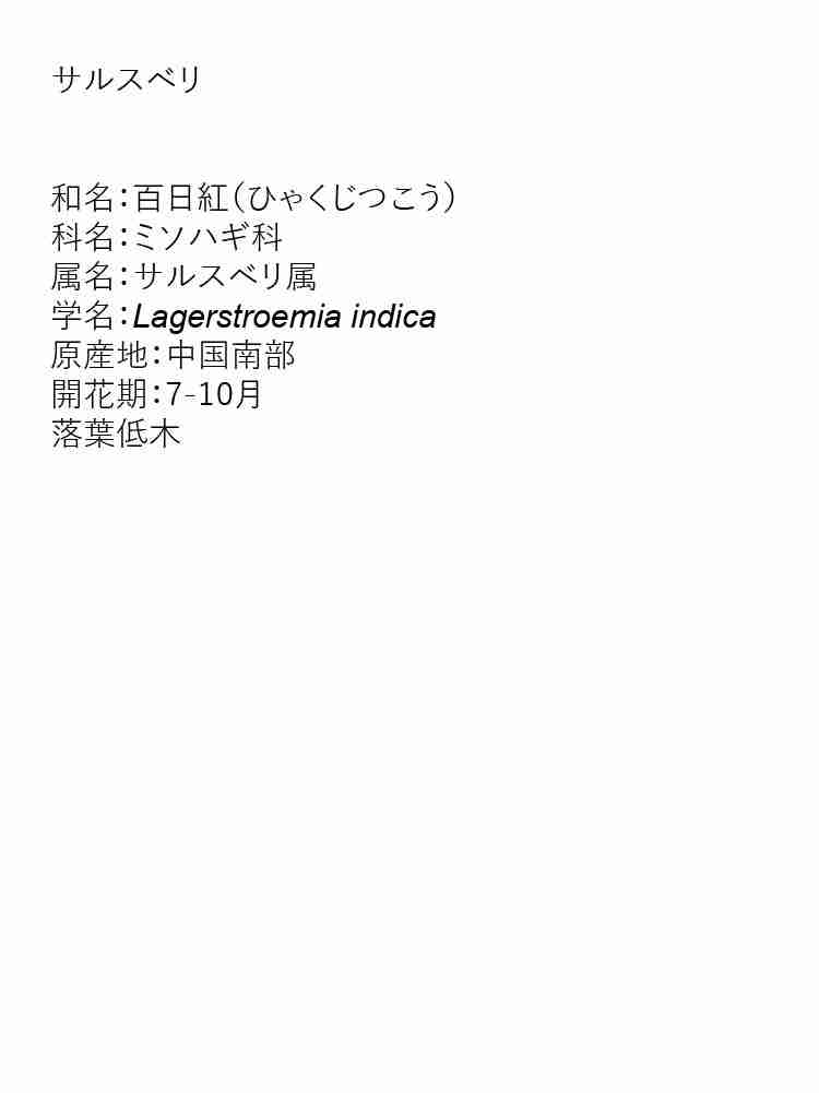 f:id:team3kazu:20190927212520j:plain f:id:team3kazu:20190927212520j:plain