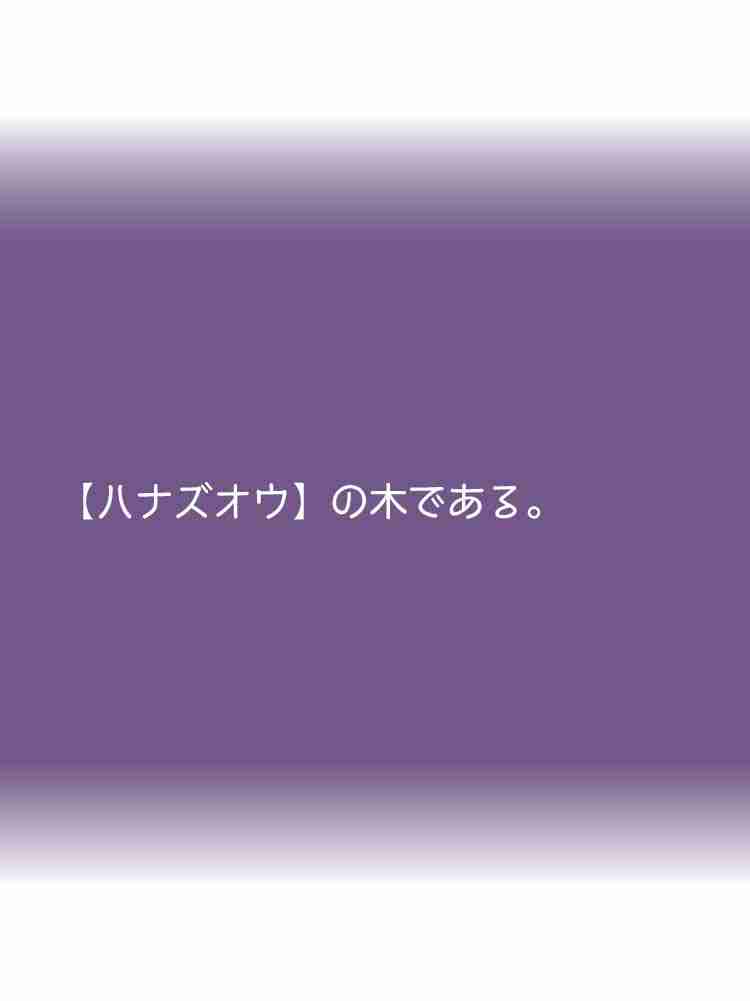 f:id:team3kazu:20190927225758j:plain f:id:team3kazu:20190927225758j:plain
