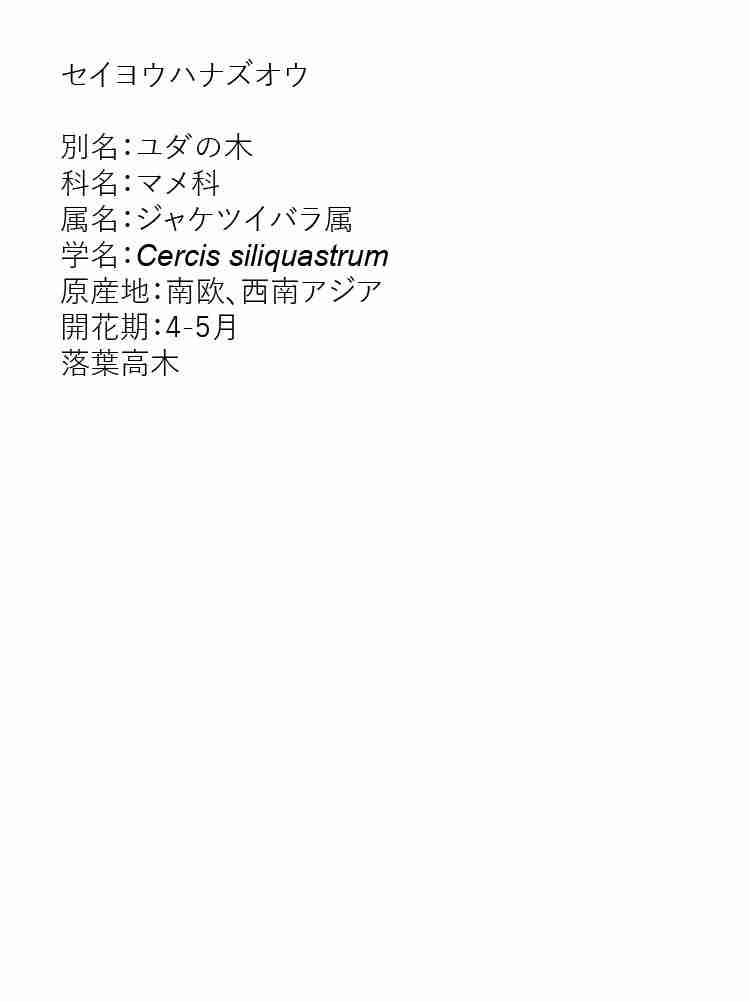 f:id:team3kazu:20190927225830j:plain f:id:team3kazu:20190927225830j:plain