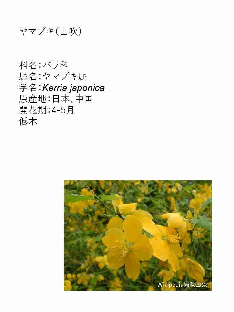 f:id:team3kazu:20190927232956j:plain f:id:team3kazu:20190927232956j:plain