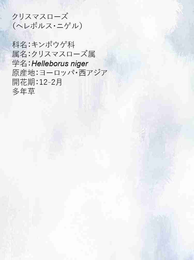 f:id:team3kazu:20190929004321j:plain f:id:team3kazu:20190929004321j:plain