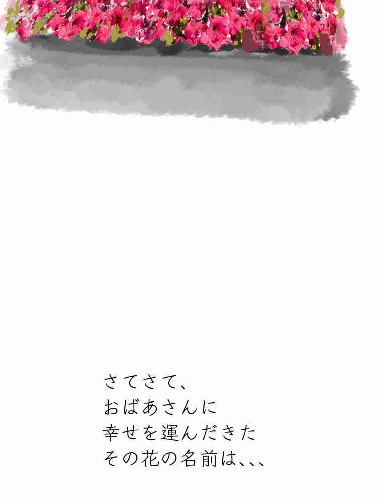 f:id:team3kazu:20190929135938j:plain f:id:team3kazu:20190929135938j:plain