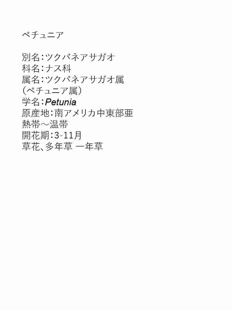 f:id:team3kazu:20190929135949j:plain f:id:team3kazu:20190929135949j:plain