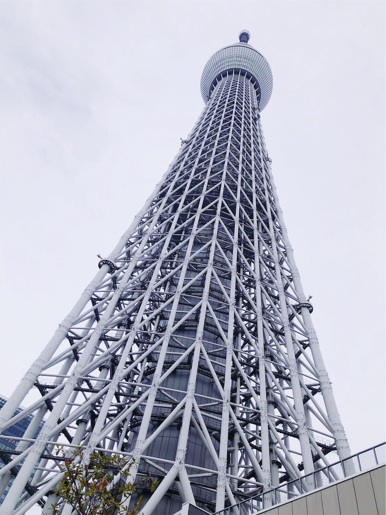 f:id:teamKAKA22:20190316112502j:image f:id:teamKAKA22:20190316112502j:image