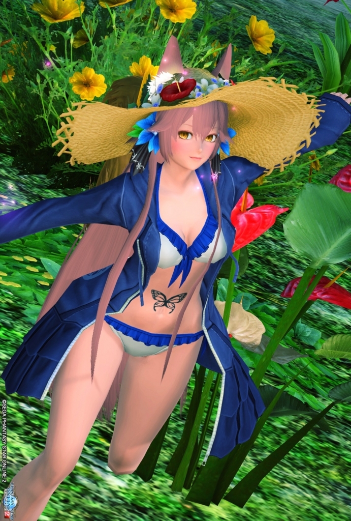 6 14のメンテナンスまでだよ ナギサスイムウェア Ba Union Pso2