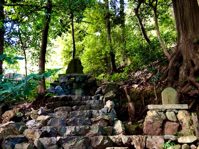 宇治上神社武本大神