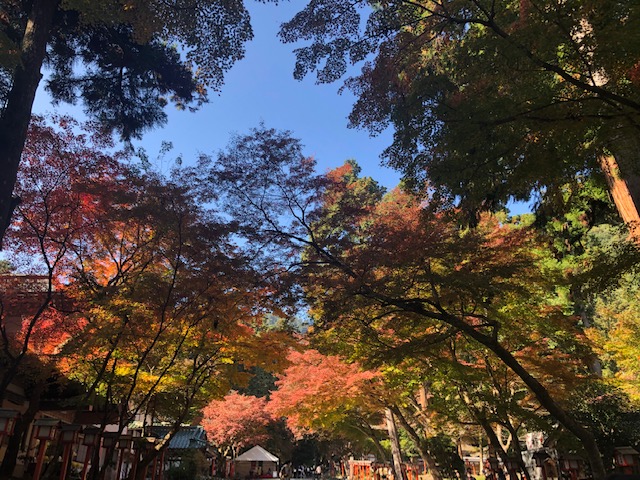 日吉大社境内