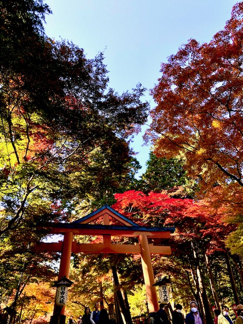 山王鳥居