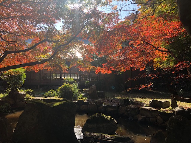 日吉大社の池