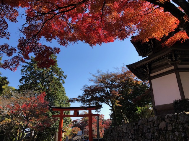 日吉大社大鳥居前