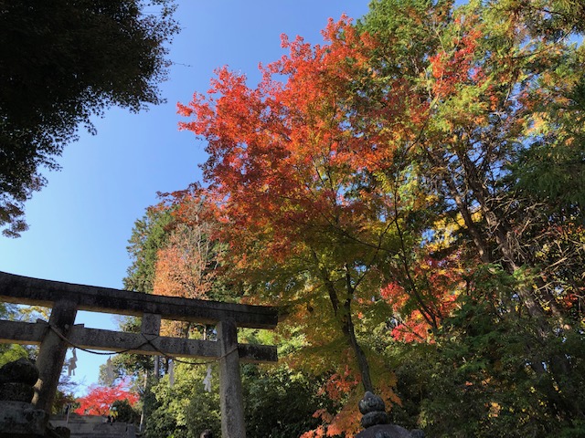 日吉東照宮鳥居