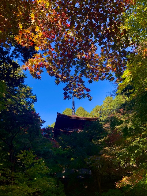 金剛輪寺ハートマーク