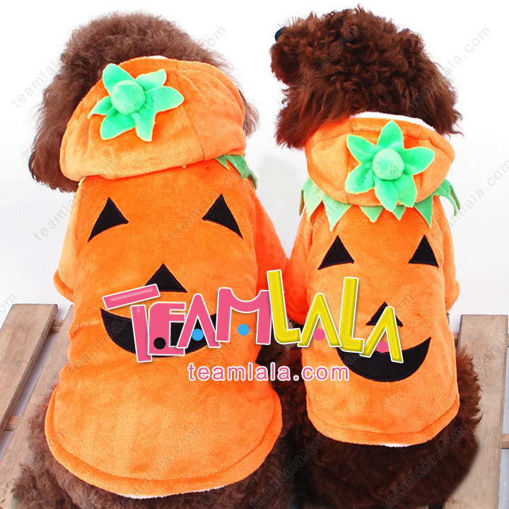 f:id:teamlala:20171027121813j:plain