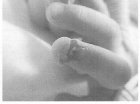 f:id:teammanabe:20200916055405j:plain