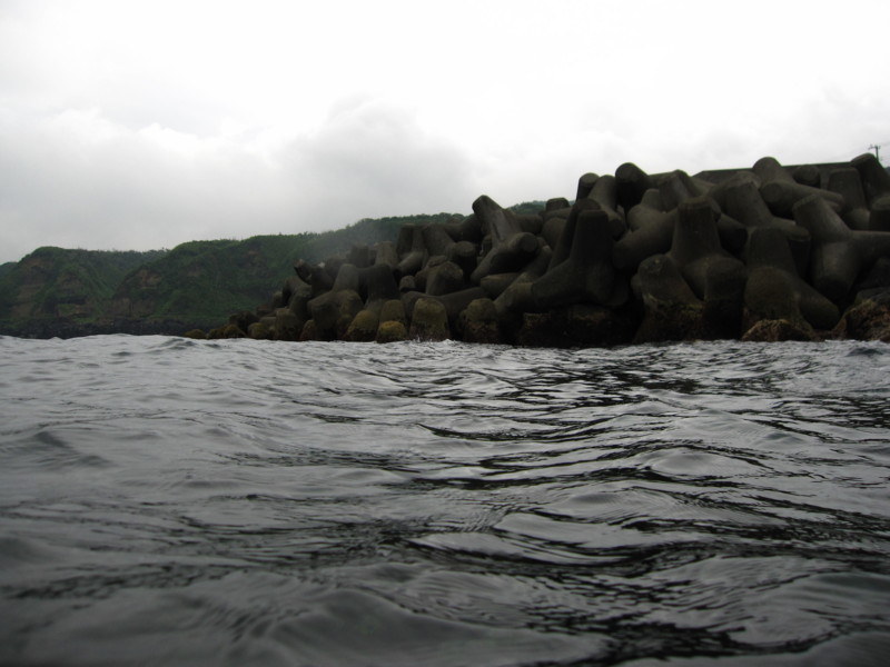 [ダイビング][三宅島]