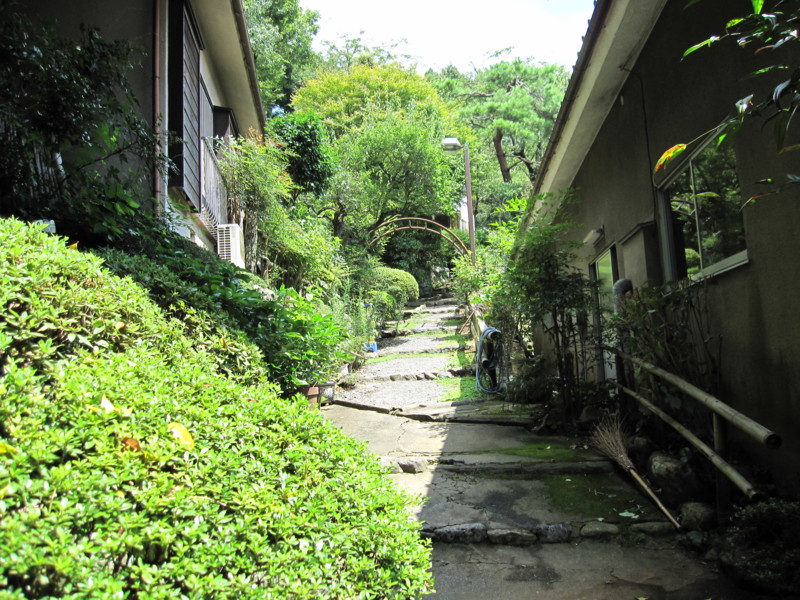  温泉からの風景
