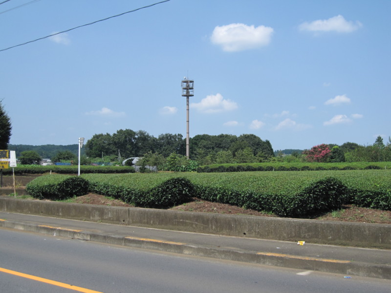 [サイクリング]