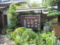 [サイクリング]