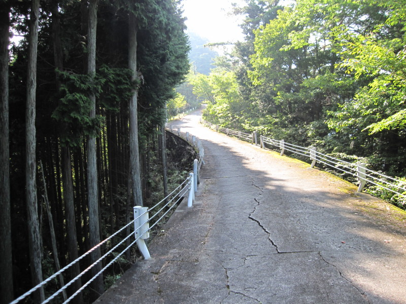[サイクリング]