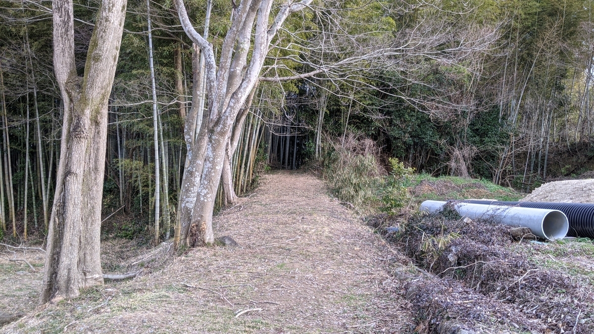 酋長の娘とは 音楽の人気 最新記事を集めました はてな