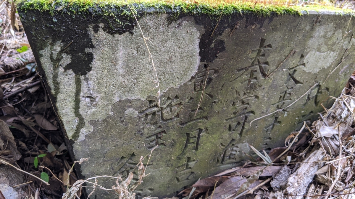 f:id:tears_of_ruby_grapefruit:20210225005245j:plain