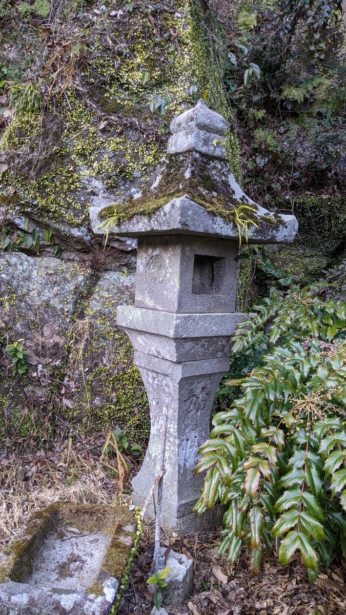 f:id:tears_of_ruby_grapefruit:20210225005651j:plain