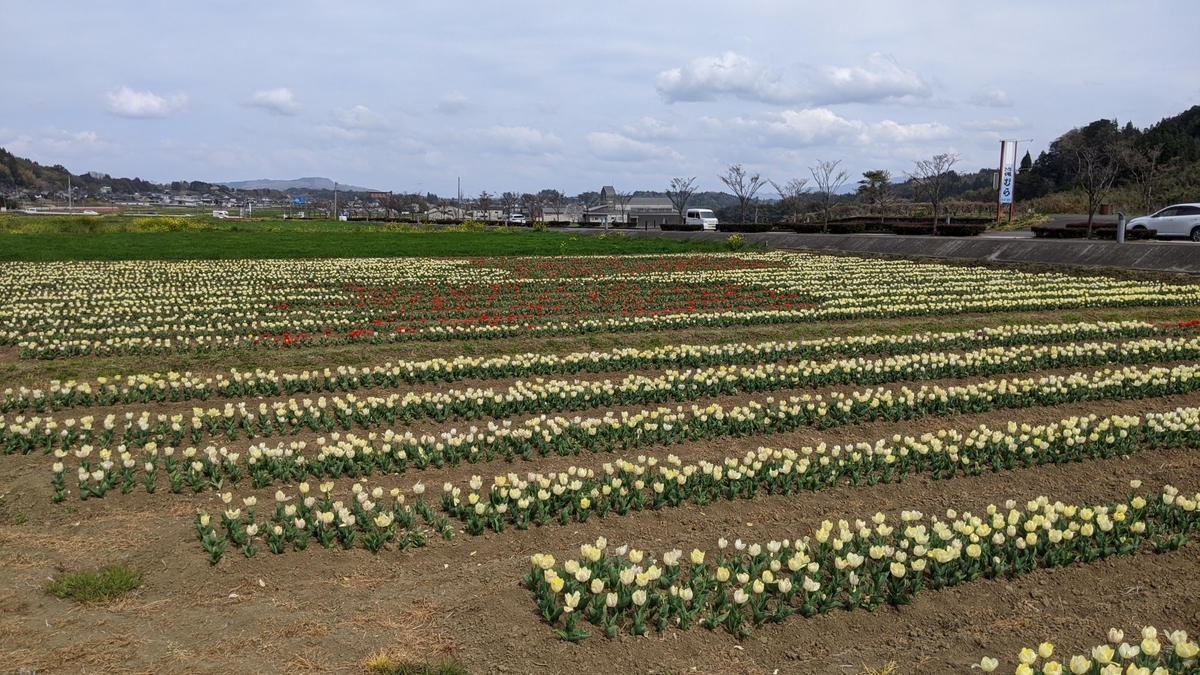 f:id:tears_of_ruby_grapefruit:20210414020220j:plain