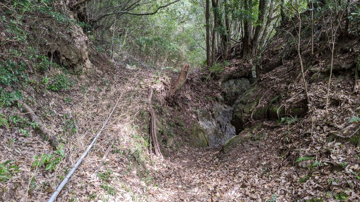 f:id:tears_of_ruby_grapefruit:20210414020413j:plain