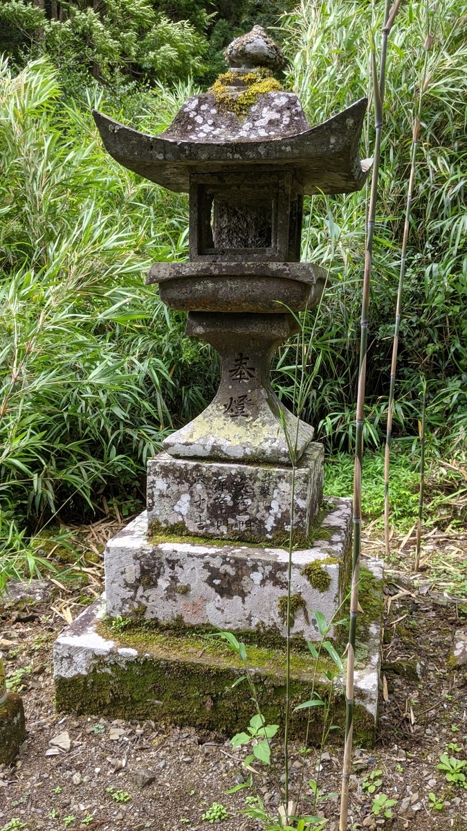 f:id:tears_of_ruby_grapefruit:20210817014231j:plain