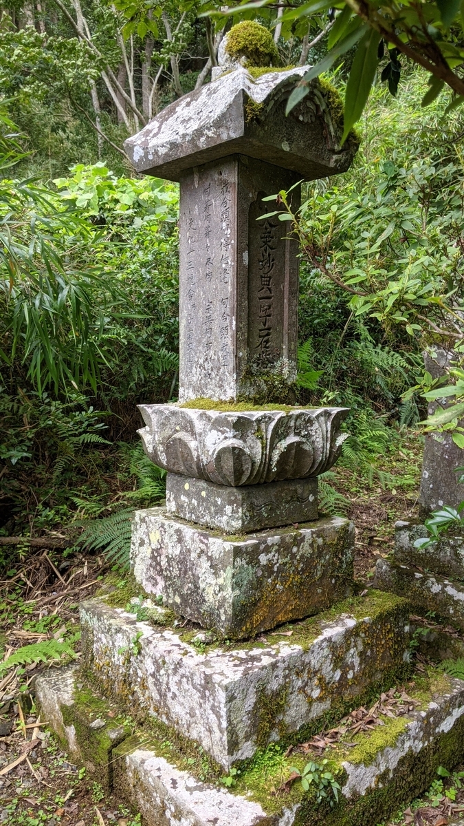 f:id:tears_of_ruby_grapefruit:20210817014236j:plain