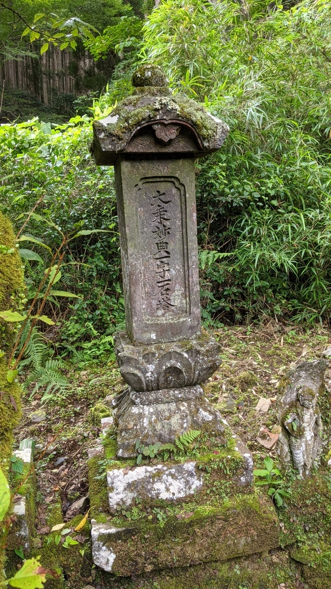 f:id:tears_of_ruby_grapefruit:20210817014255j:plain